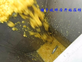 柑橘烂果破碎榨汁机