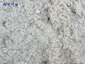 石棉棉浆纤维挤干固液分离
